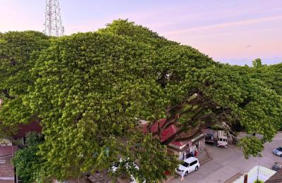 STONE TOWN TRIPPLE TOWER-2 BEDS